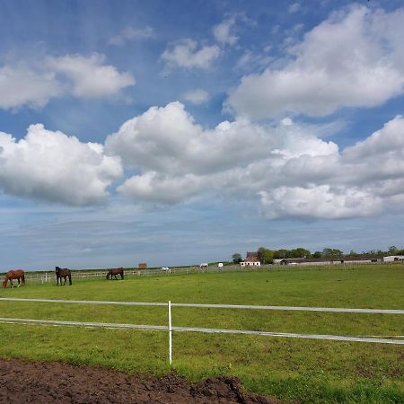 Braemar Equestrian, East Riding Of Yorkshire Hotel Burton Pidsea Exterior foto