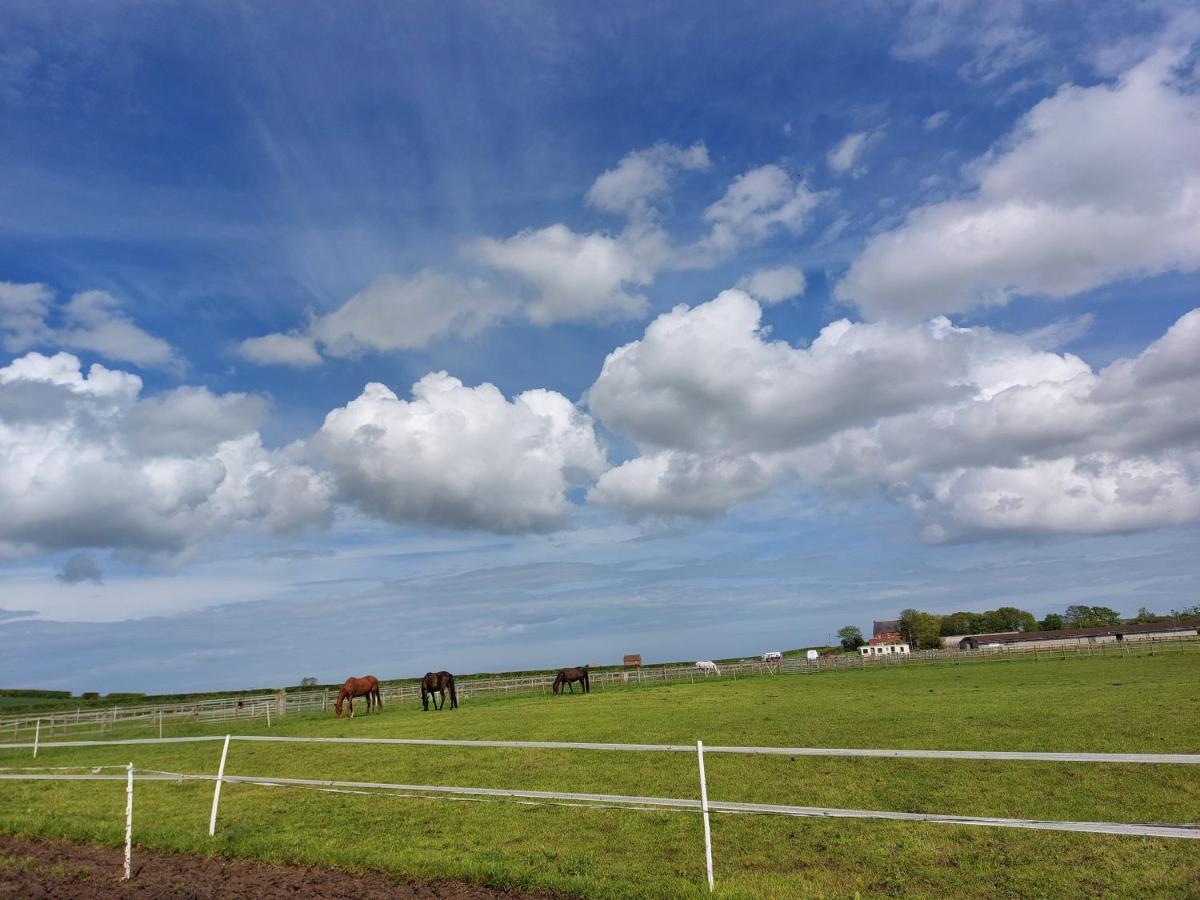 Braemar Equestrian, East Riding Of Yorkshire Hotel Burton Pidsea Exterior foto