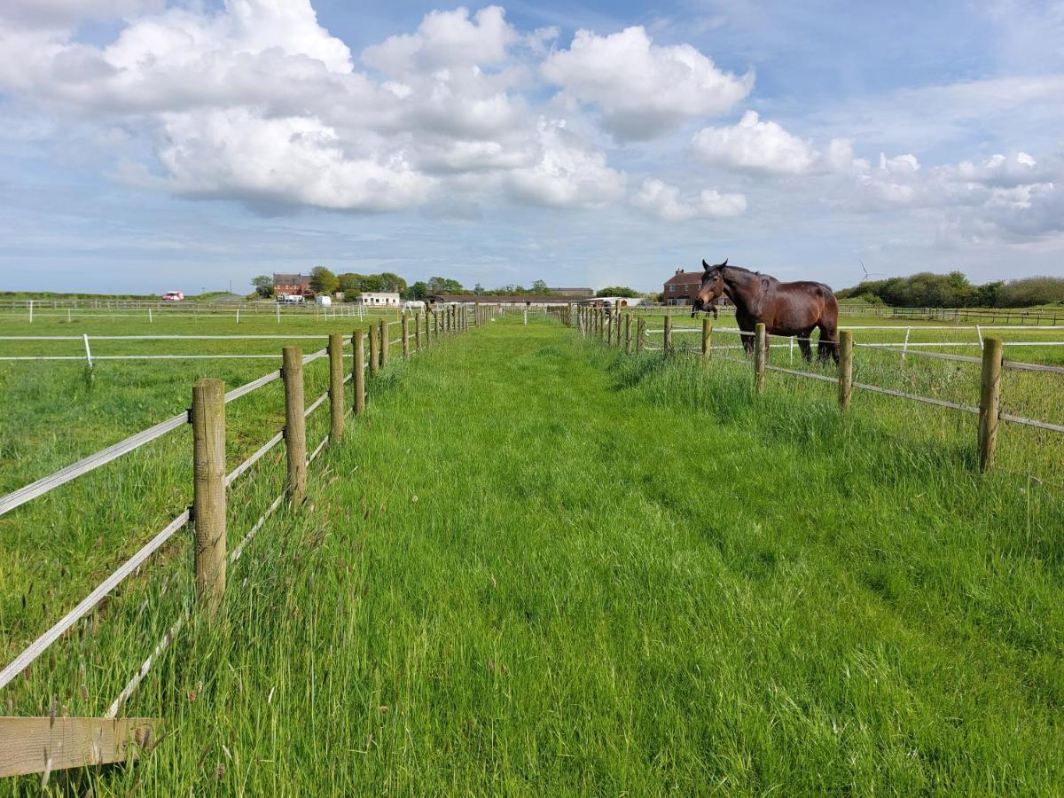 Braemar Equestrian, East Riding Of Yorkshire Hotel Burton Pidsea Exterior foto